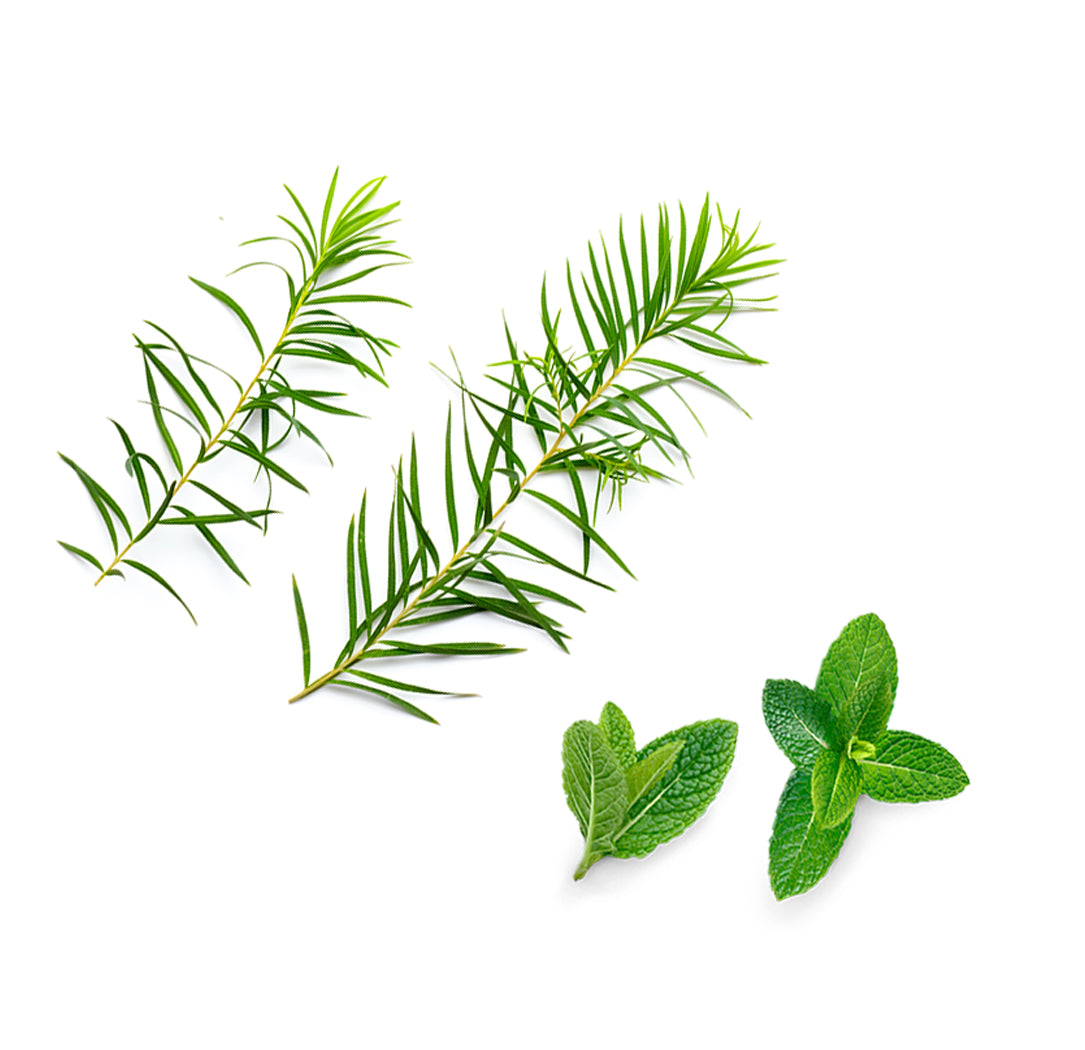 facialcleanser whats inside 1085x1050 eu