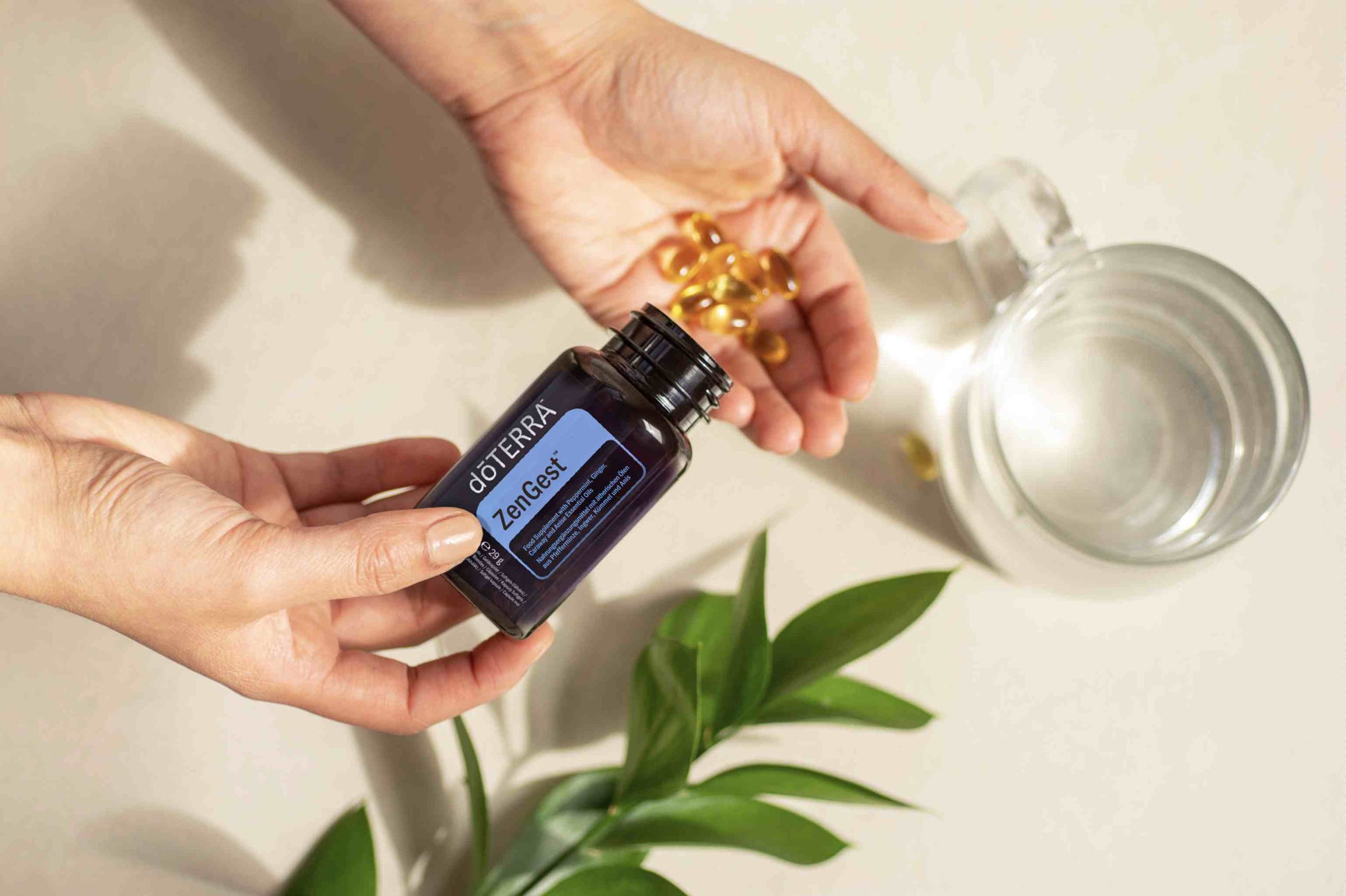 Doterra zengest softgels lágykapszula