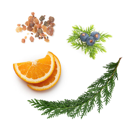 Forest Breeze természetközeli keverék 5 ml - doTERRA