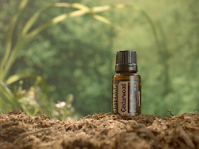 Doterra Vörös cédrus (Cedarwood) illóolaj 15 ml