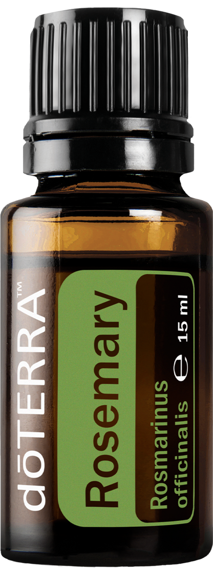 rosemary15ml large 500x1350 eu