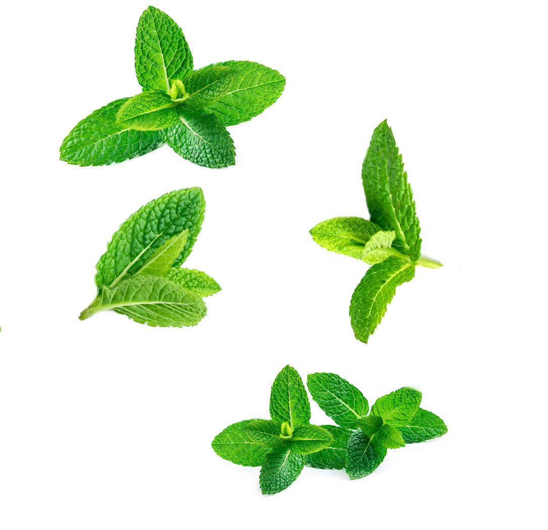 doterra supermint 15ml illóolaj keverék mi van benne